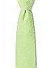 Boy's 14" Dupioni Zip Neck Tie