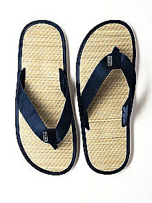 Men's Destination Flip Flop