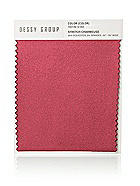 Stretch Charmeuse Swatch