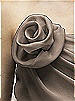 Large Crinkle Chiffon Flower