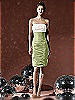 Social Bridesmaids Style 8107
