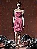 Social Bridesmaids Style 8108