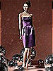 Social Bridesmaids Style 8104