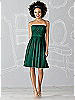 After Six Bridesmaid Dress 6620