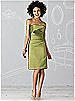 After Six Bridesmaid Dress 6618