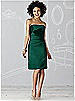 After Six Bridesmaid Dress 6618