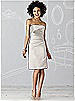 After Six Bridesmaid Dress 6618