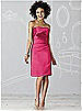 After Six Bridesmaid Dress 6618