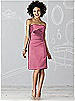 After Six Bridesmaid Dress 6618