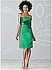 After Six Bridesmaid Dress 6618
