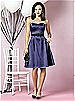 After Six Bridesmaids Style 6629