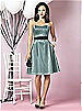 After Six Bridesmaids Style 6629