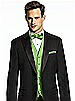 Paragon Pocket Square
