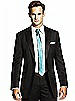 Paragon Skinny Tie